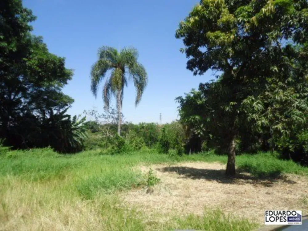 Terreno - Foto 15