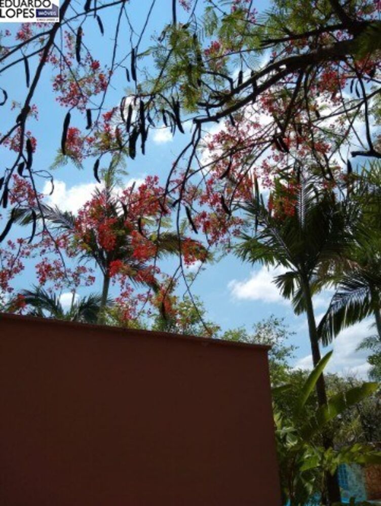 Chácara à venda com 4 quartos - Foto 14
