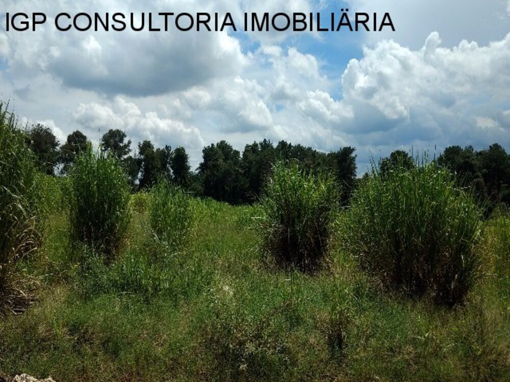 Loteamento e Condomínio, 5626 m² - Foto 2