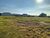 Terreno, 300 m² - Foto 4