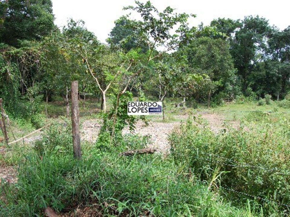 Terreno, 1000 m² - Foto 1