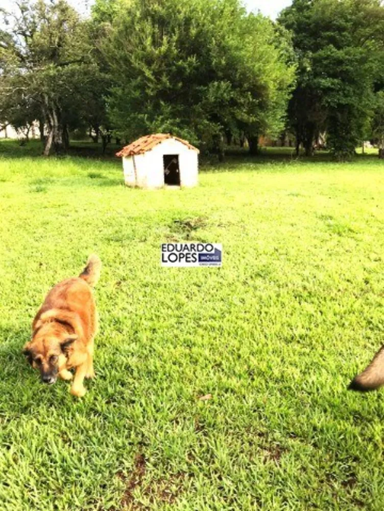 Chácara, 6 quartos - Foto 20