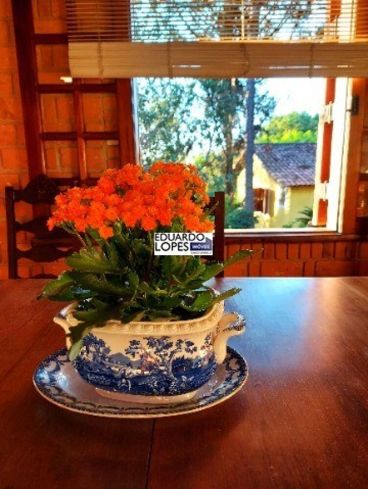 Chácara, 7 quartos - Foto 4