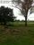 Terreno, 4 hectares - Foto 3