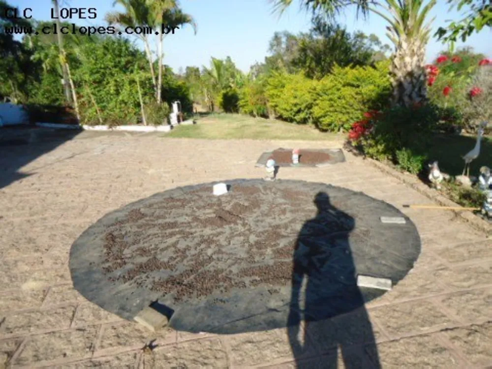Chácara, 6 quartos - Foto 10