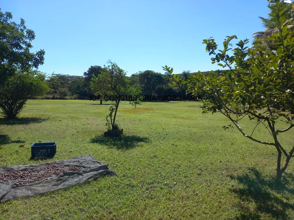 Terreno, 4319 m² - Foto 2