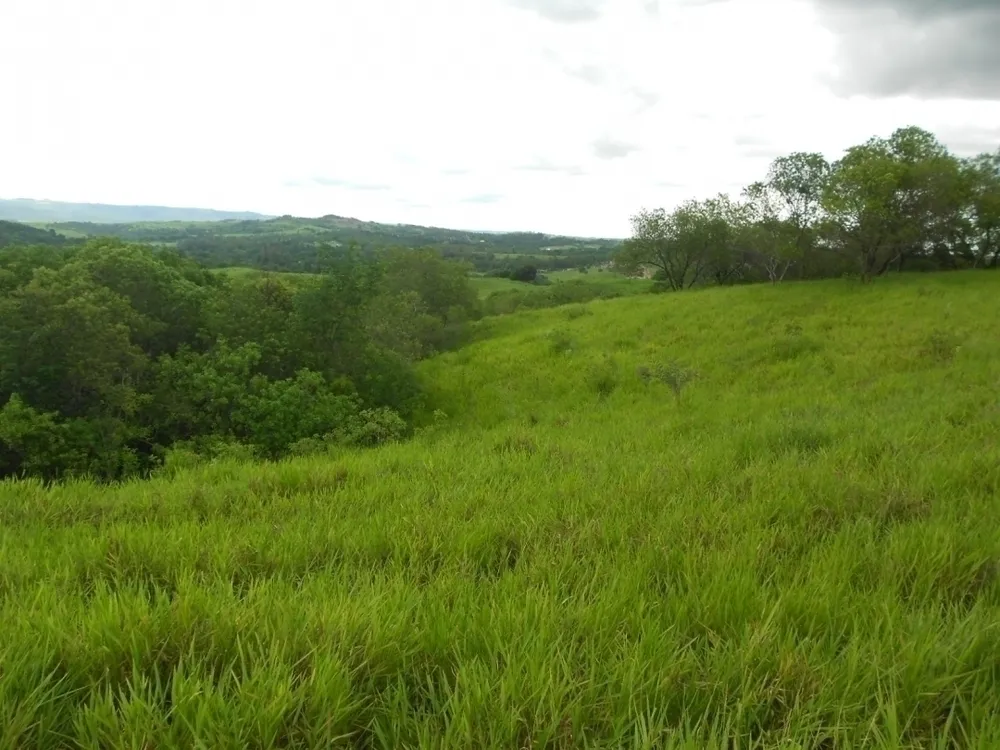 Terreno, 3 hectares - Foto 6