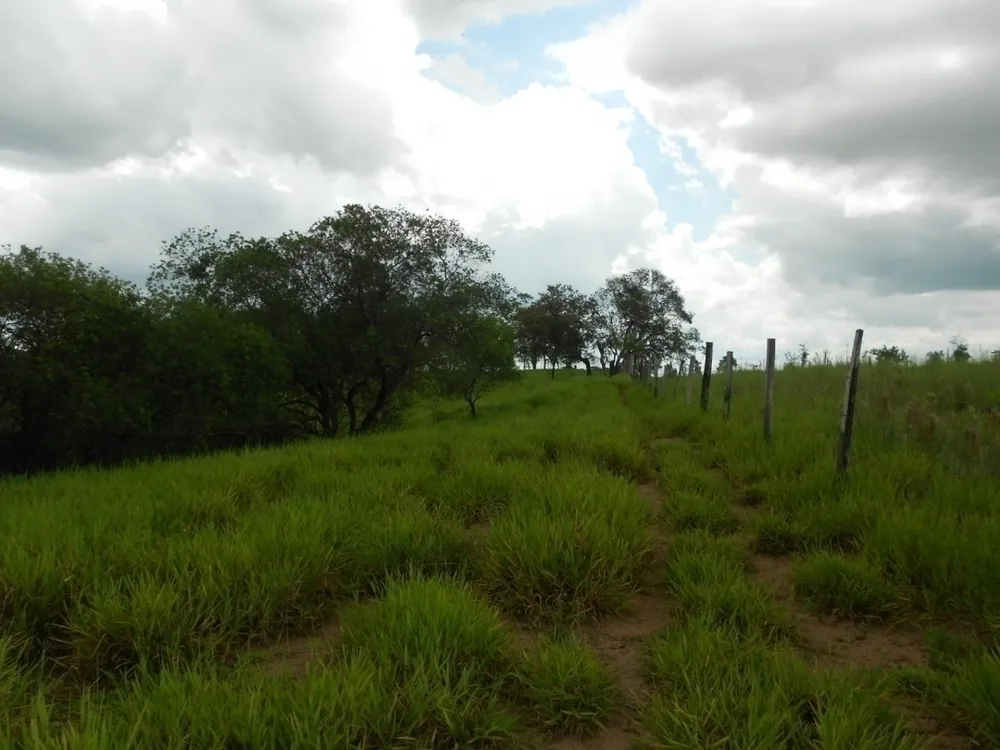 Terreno, 3 hectares - Foto 10