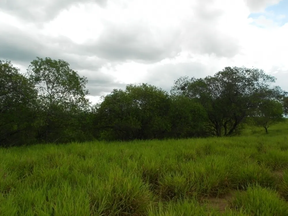 Terreno, 3 hectares - Foto 9