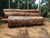 Fazenda-Sítio-Chácara, 15 hectares - Foto 12