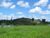 Fazenda, 15 hectares - Foto 4