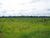 Fazenda, 15 hectares - Foto 1