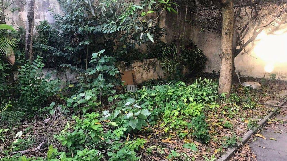 Casa, 4 quartos, 300 m² - Foto 29