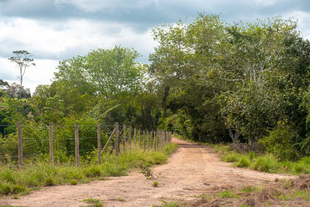 Terreno, 2 hectares - Foto 9