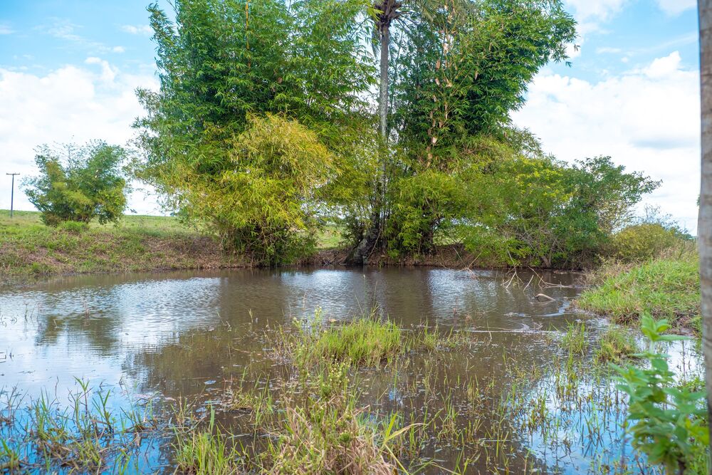 Terreno, 2 hectares - Foto 10