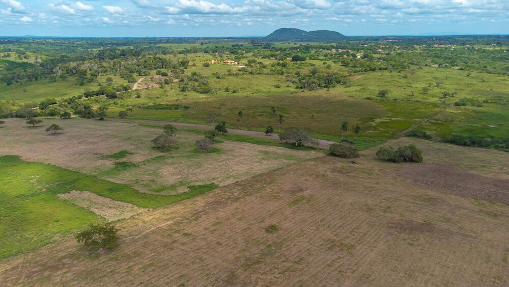 Terreno, 2 hectares - Foto 3