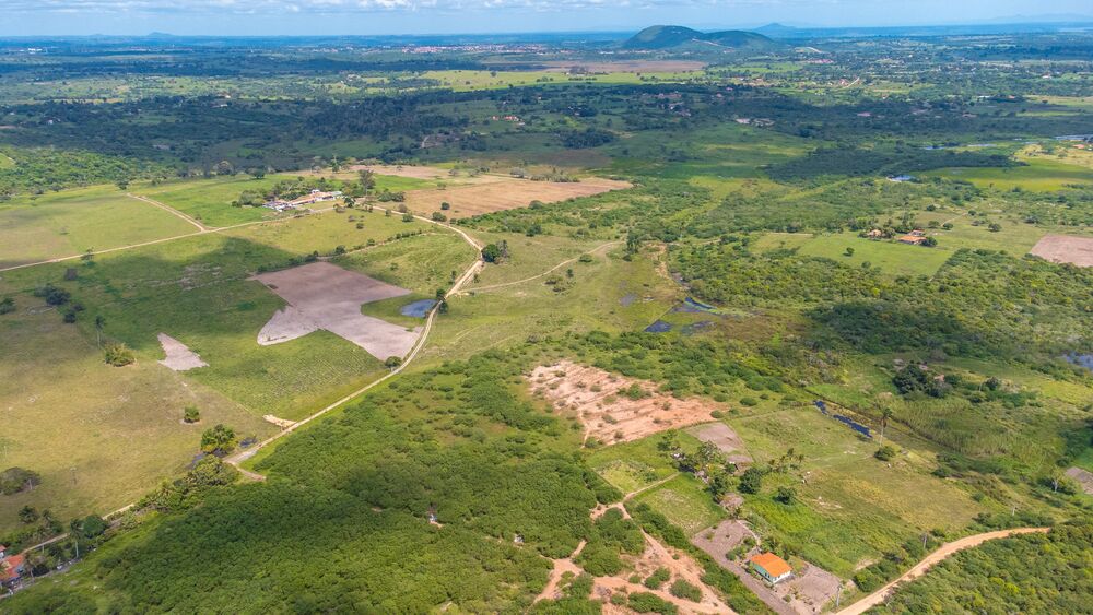 Terreno, 2 hectares - Foto 7