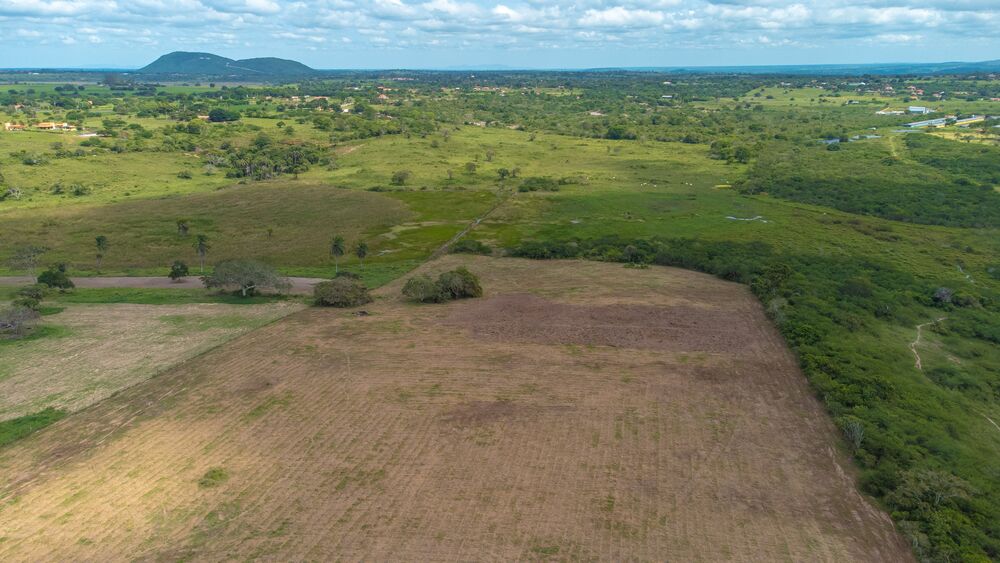 Terreno, 2 hectares - Foto 6