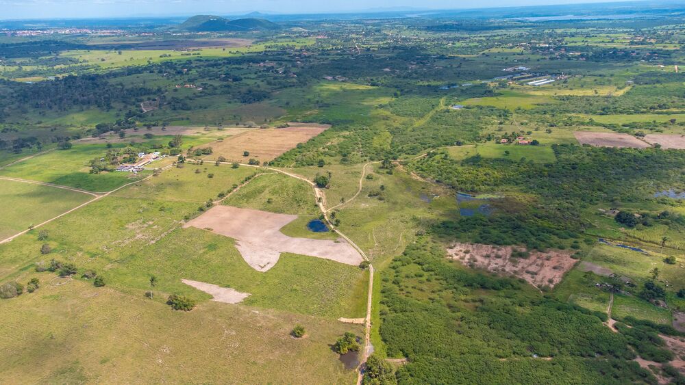 Terreno, 2 hectares - Foto 5