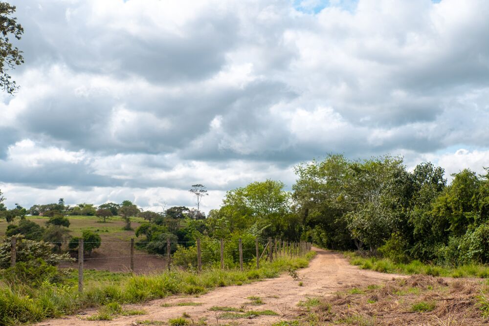 Terreno, 2 hectares - Foto 8