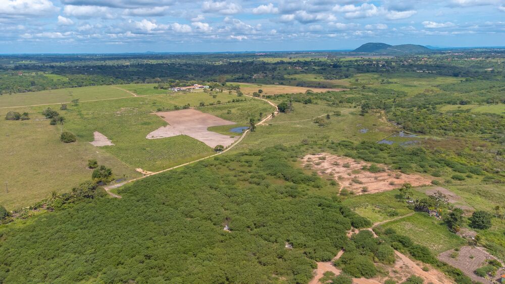 Terreno, 2 hectares - Foto 4