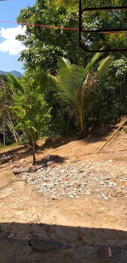 Chácara à venda com 3 quartos, 1200m² - Foto 12