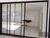Casa, 4 quartos, 480 m² - Foto 2