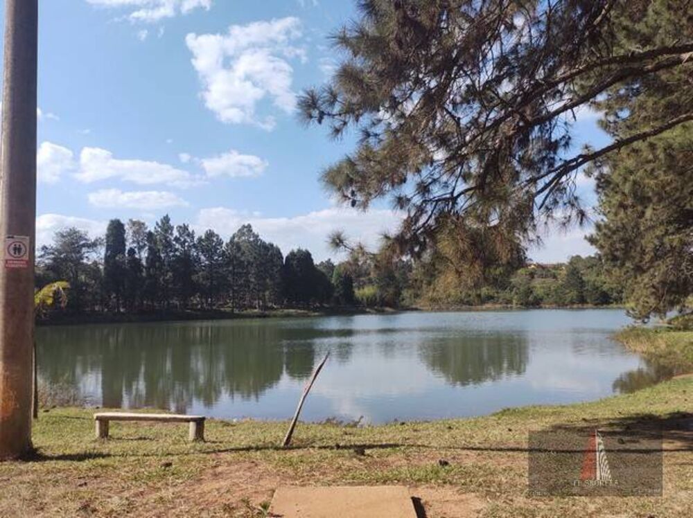 Chácara à venda com 5 quartos, 3000m² - Foto 4