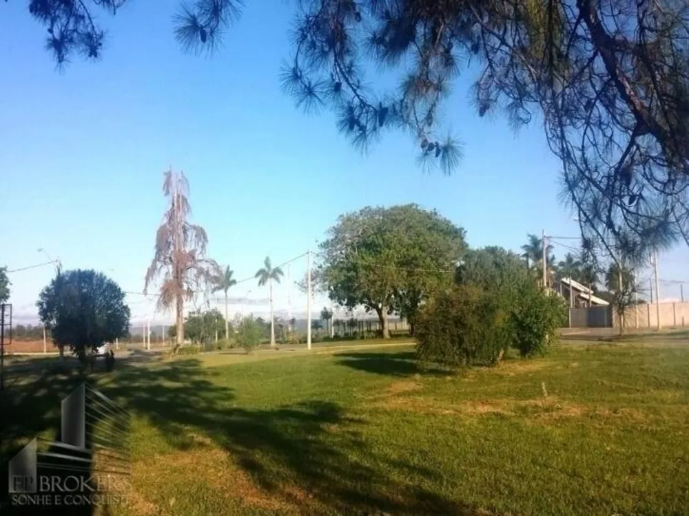 Terreno, 1369 m² - Foto 6
