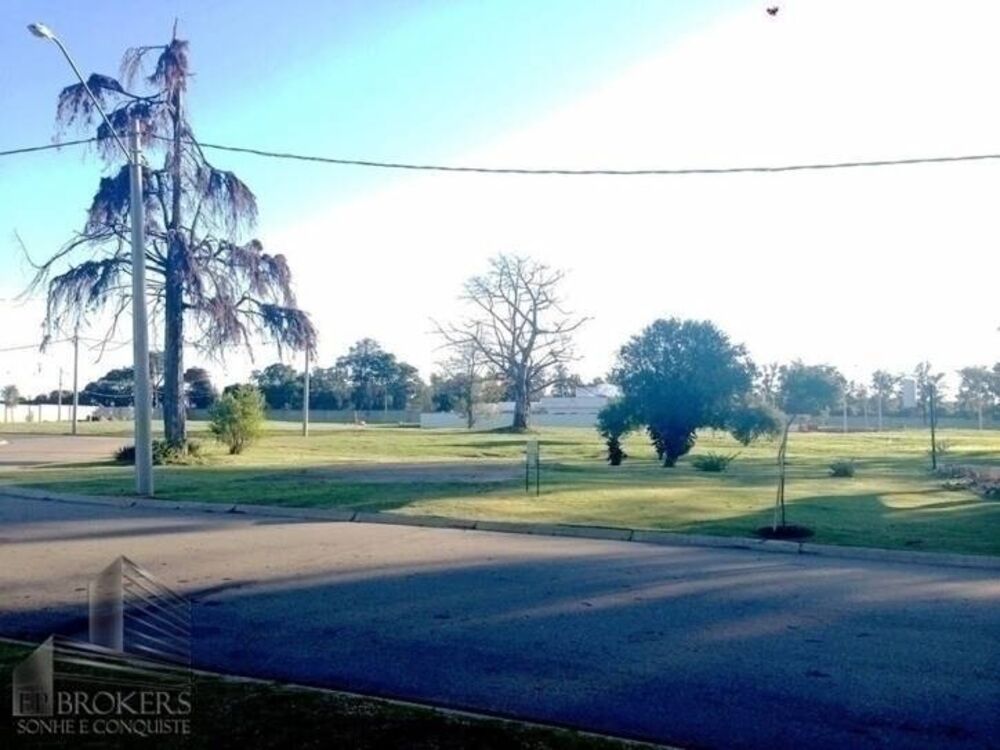 Terreno, 1369 m² - Foto 6