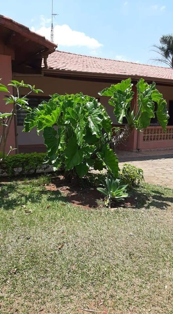 Chácara, 4 quartos, 5000 m² - Foto 4