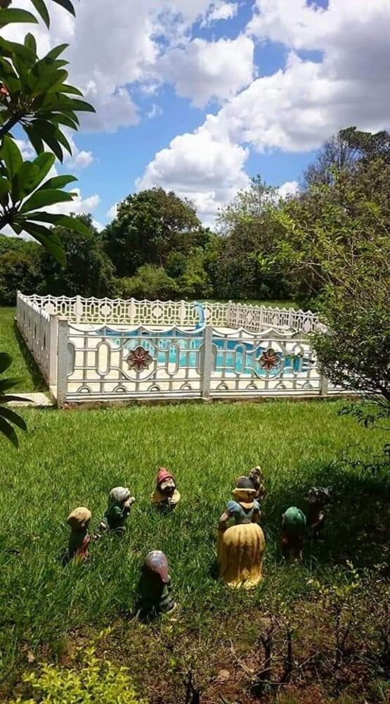 Chácara, 4 quartos, 5000 m² - Foto 7