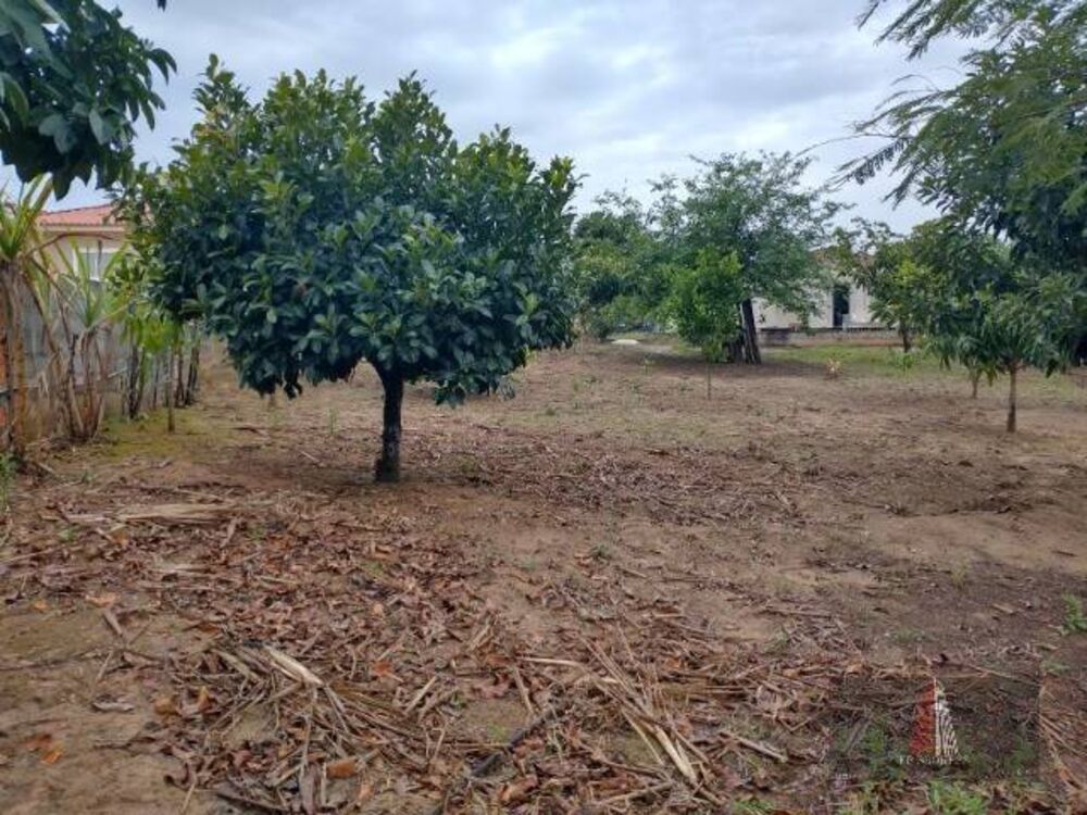 Terreno à venda, 110m² - Foto 4