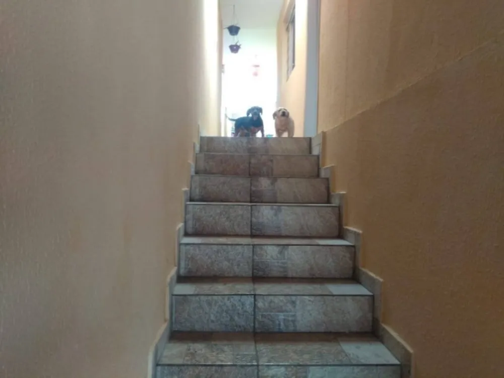 Casa, 3 quartos, 134 m² - Foto 2