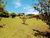 Sítio, 4 quartos, 2 hectares - Foto 4