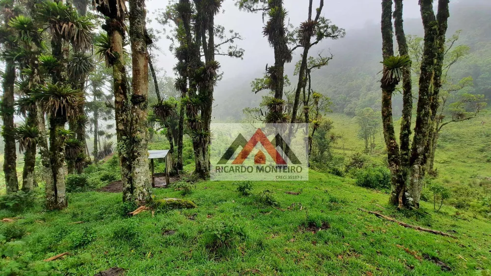 Sítio, 82 hectares - Foto 4