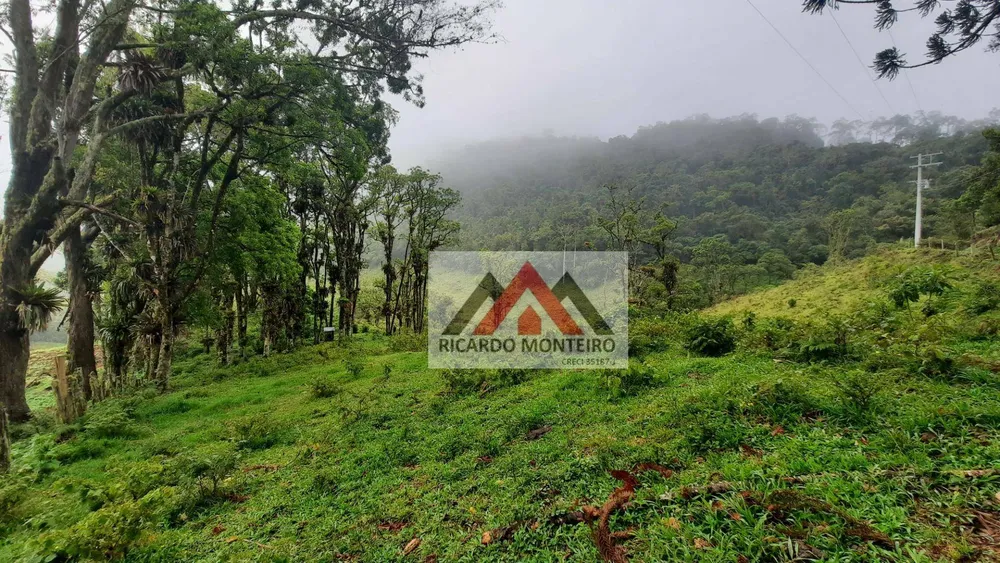 Sítio, 82 hectares - Foto 3