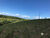 Terreno, 393 m² - Foto 5