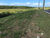 Terreno, 393 m² - Foto 8