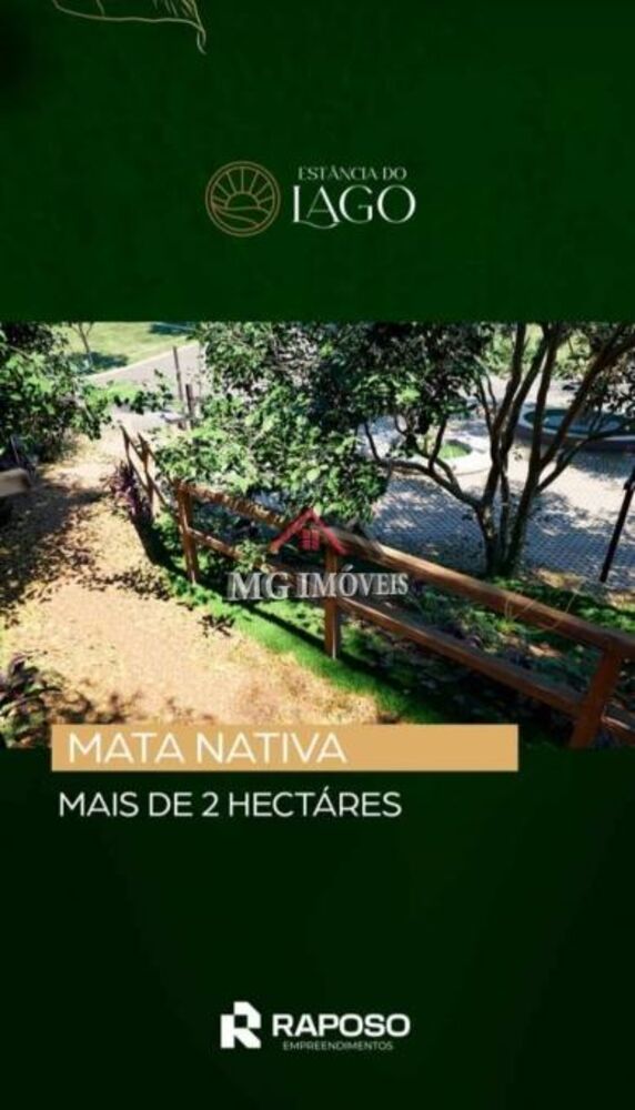 Terreno - Foto 3