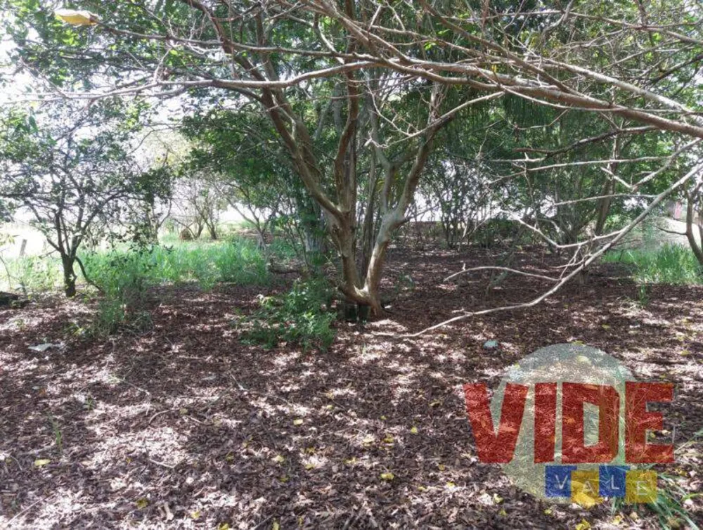 Terreno, 1698 m² - Foto 4