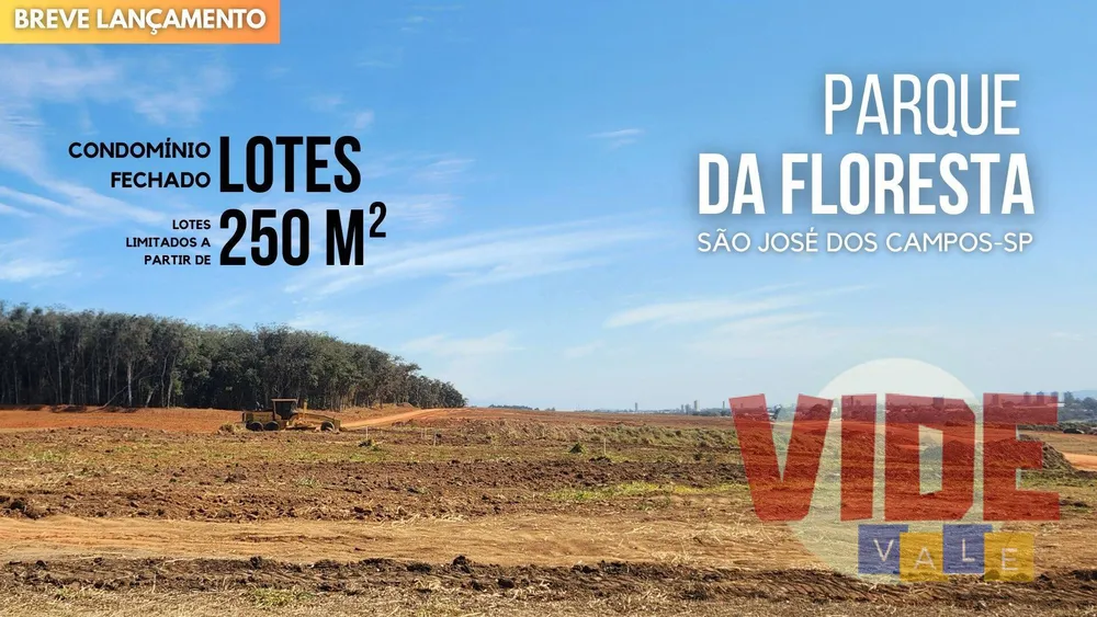 Terreno, 250 m² - Foto 2
