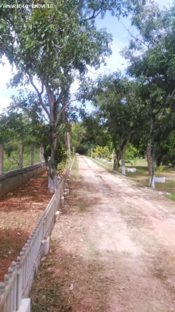 Sítio, 3 quartos, 10000 m² - Foto 18