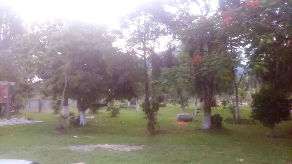 Sítio, 3 quartos, 10000 m² - Foto 21