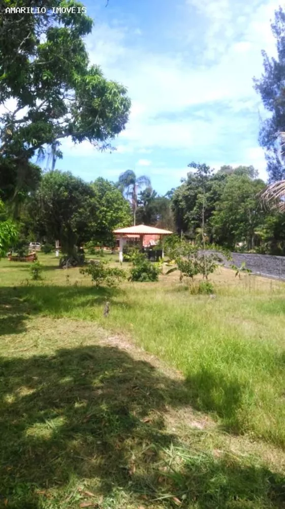 Sítio, 3 quartos, 10000 m² - Foto 26