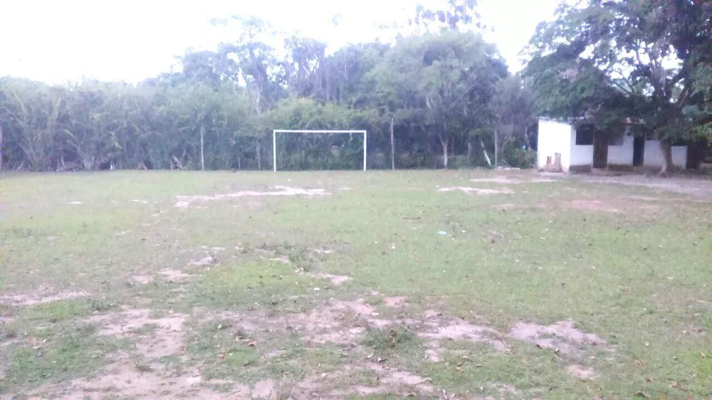 Sítio, 3 quartos, 10000 m² - Foto 36