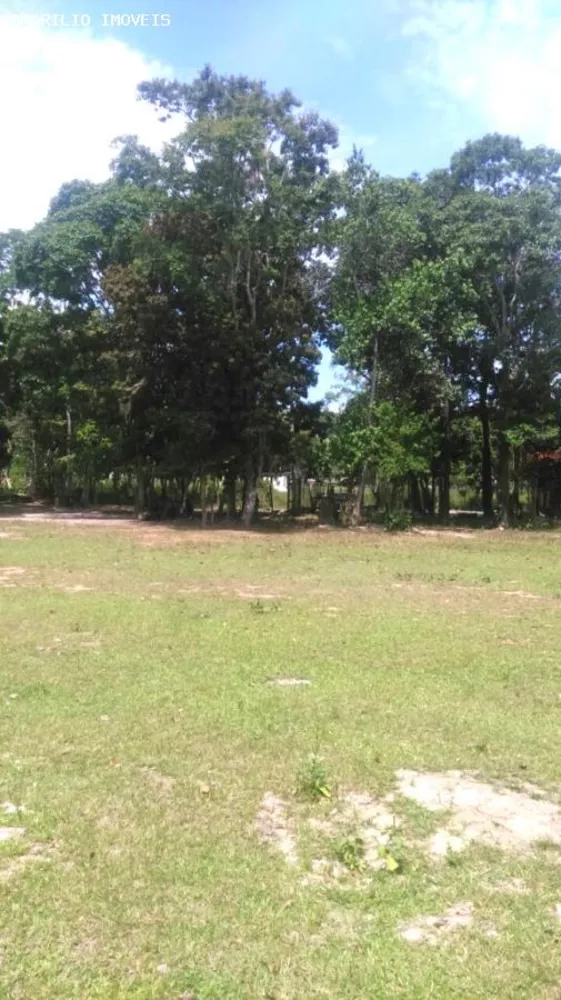 Sítio, 3 quartos, 10000 m² - Foto 27