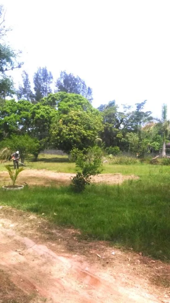 Sítio, 3 quartos, 10000 m² - Foto 20