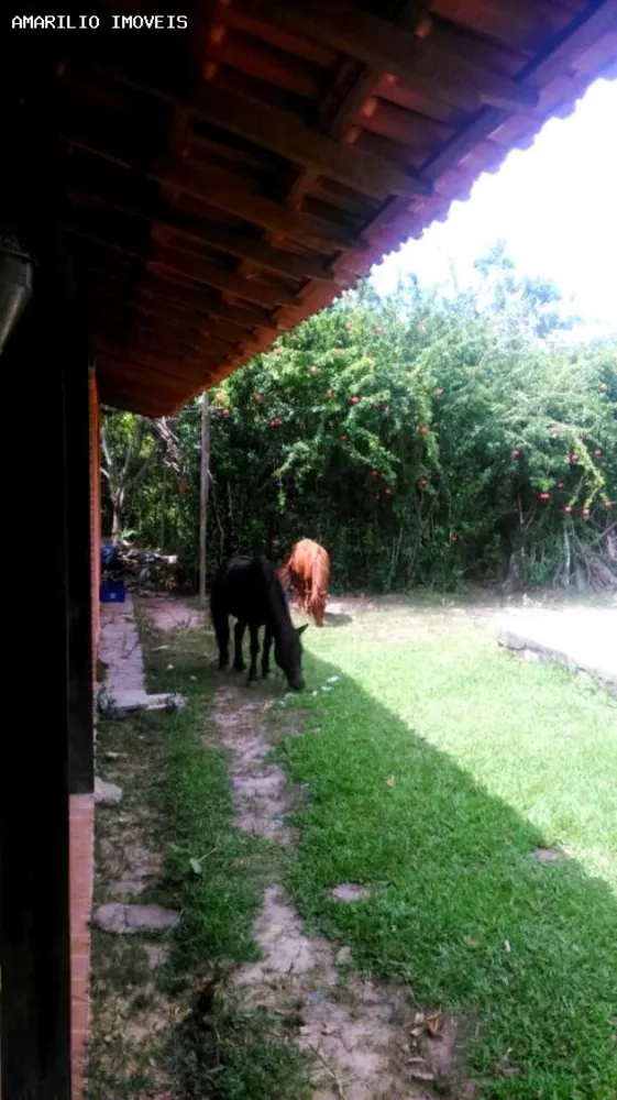 Sítio, 3 quartos, 10000 m² - Foto 34