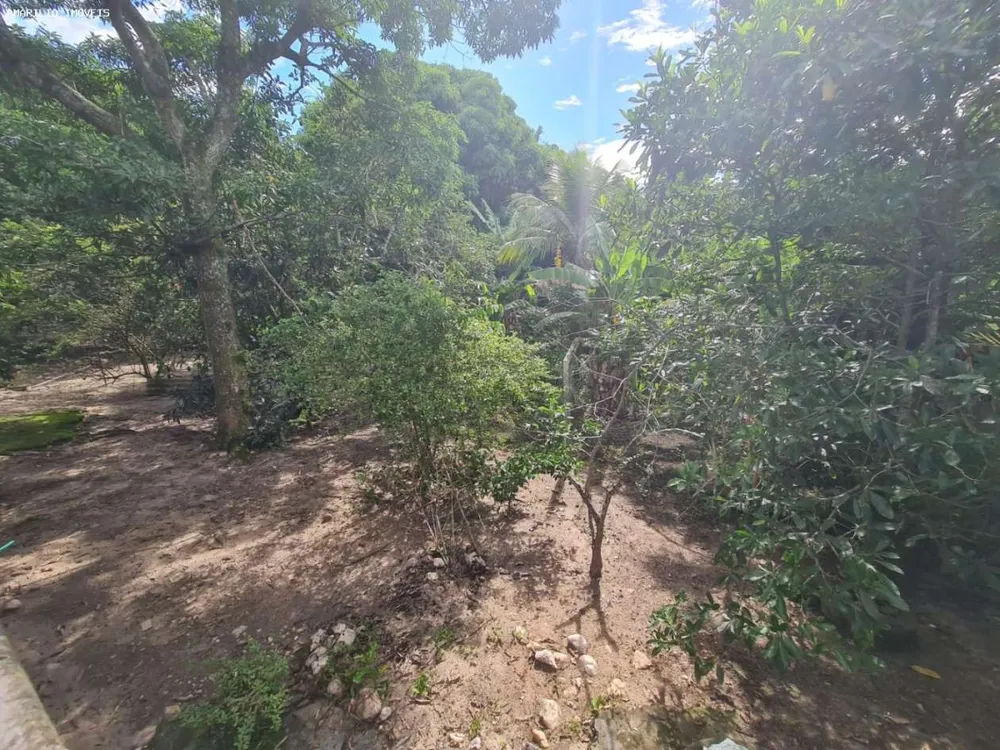 Casa, 3 quartos, 230 m² - Foto 16